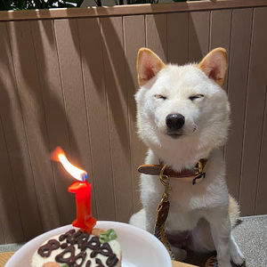 Meet your Posher, Ramen